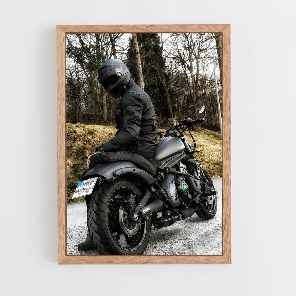 Poster Vulcain mystérieux (vue 4)